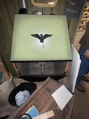 794727456_fl