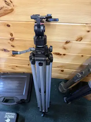 799769172_fl
