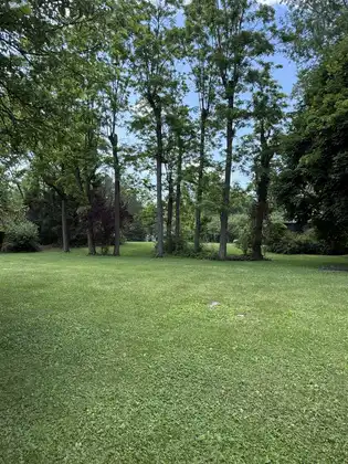 804992929_fl