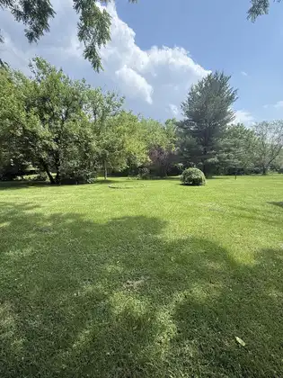 804992983_fl
