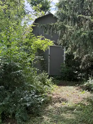804993026_fl