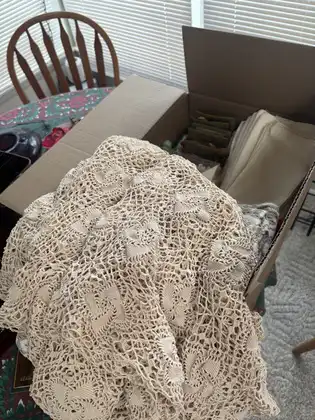 806567867_fl