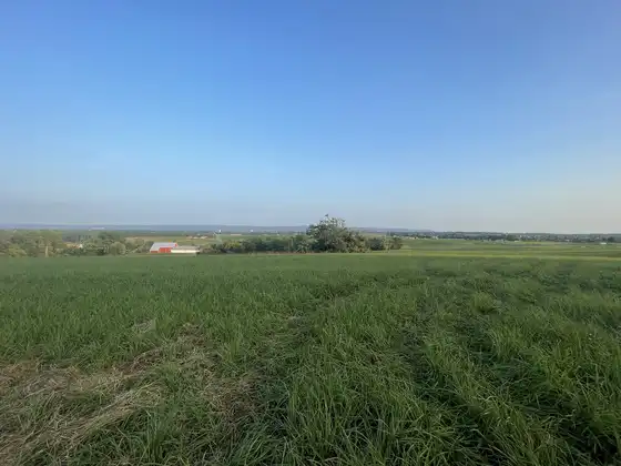 782257798_fl